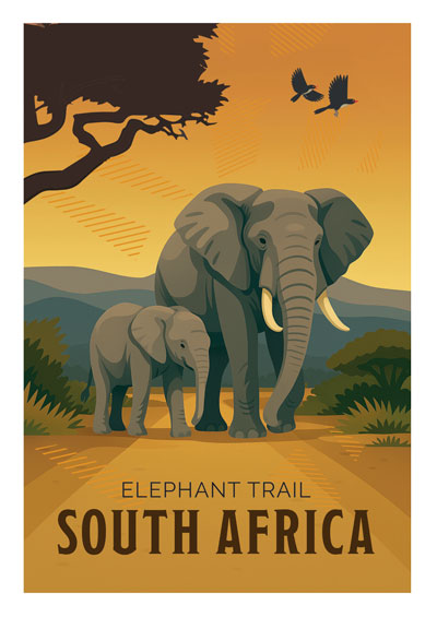 Elephant trail - South African Poster