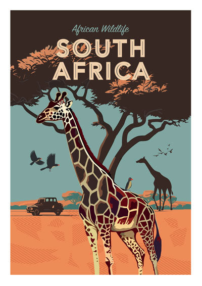 African Wildlife Giraffe - South African Poster